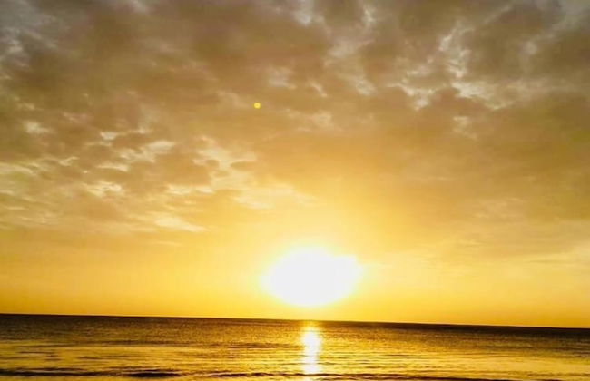 Beach Paradise by Oceanfront Condos - Foto 36