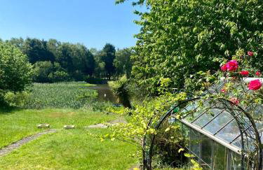 Lake View Lincoln - Foto 13