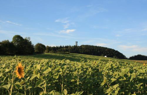 Ferienwohnung "Haus am Weifberg" Hinterhermsdorf - Photo 13