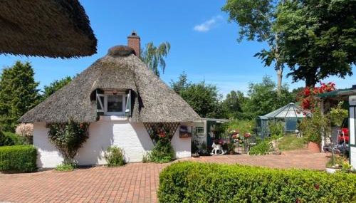 Emmis-Ferienhaus - Foto 5, Garden