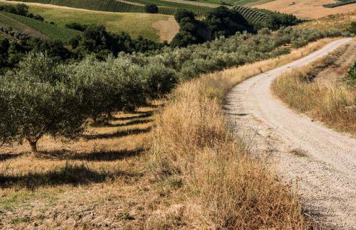 Relais Cocci Grifoni - Panoramic Wine Resort - Foto 69