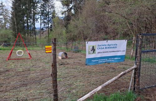 Le Rondini di Casa Bernardi, for Pet Lovers con Area Cani privata - Foto 52