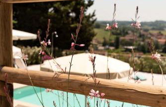 La casa delle Rondini - Foto 16