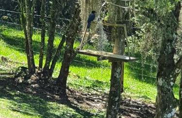 Rancho 4 Corações - Photo 51