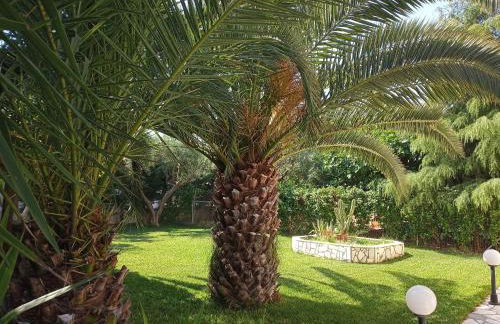 Villa MARGIANI - Foto 44