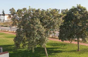 El Merendero - Foto 45