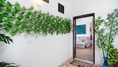 Apartamento da Alegria - Foto 3