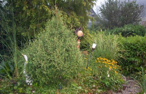 Ferienwohnungen Weitmann - Foto 17