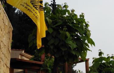 Six Steps From The Forest - Photo 71