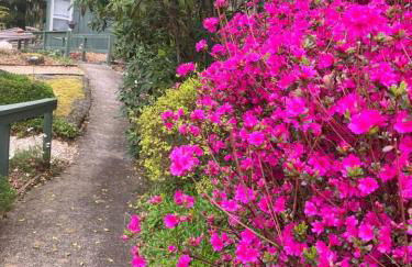 The Crows Nest - Apartment in Asheville near the Smoky Mountains! - Foto 30