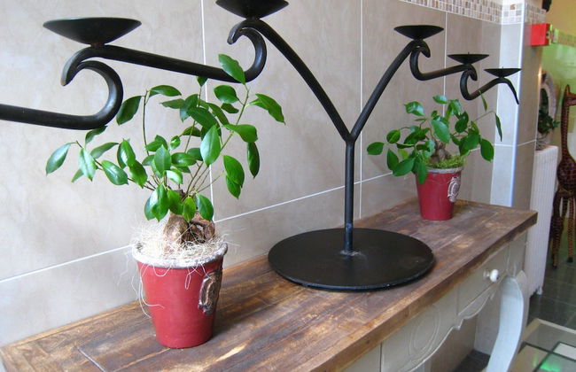 Very Nice Manor House in North African Atmosphere - Photo 2