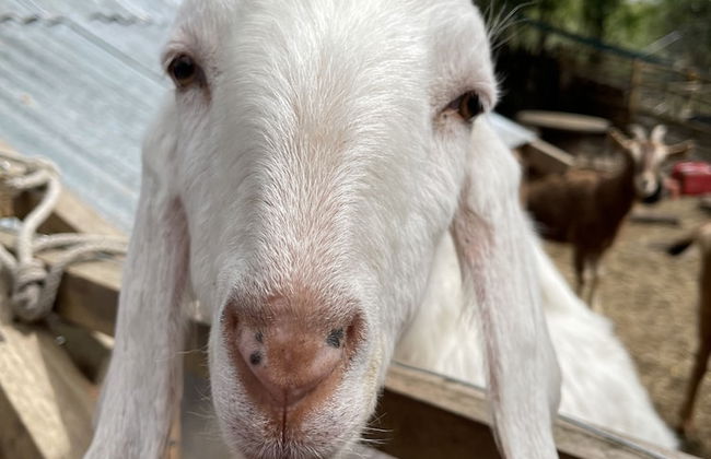 Woodlands Lodge - Come and Enjoy the Good Life - Foto 5