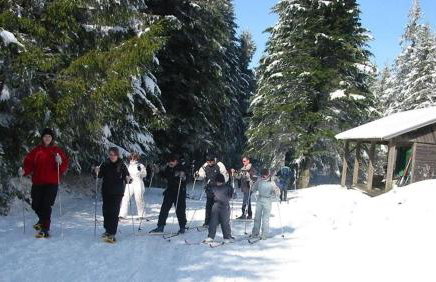 Appartemment situé a lacaune les bains - Foto 22