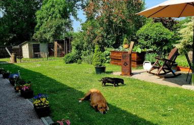 Haus am Wiesengrund - Foto 4