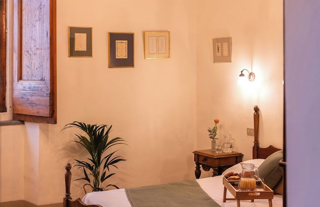 Castello Vicchiomaggio - Photo 52