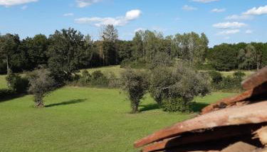 Gite La Volière Ouverte - Foto 5