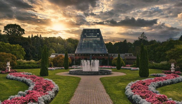 Excursión definitiva de un día a Niagara Falls y Niagara-on-the-Lake - Foto 3