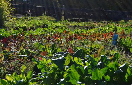 Agritur Scoiattolo - Foto 40