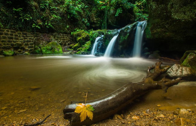 Ferienanlage Landlust, Muhlental - Foto 21