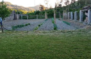 Casale Chiara & Giulia - Foto 7