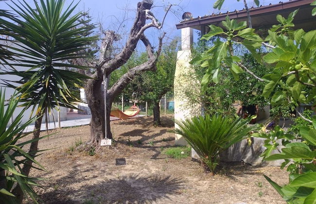 La Pergola - Foto 17