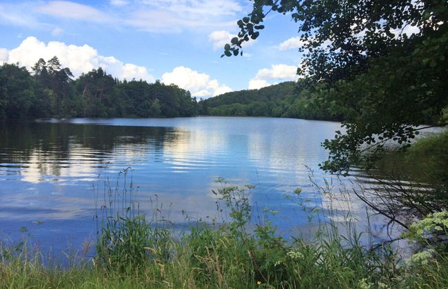 Comely Holiday Home in Güntersberge near Forest - Foto 23