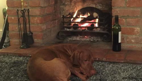 Pollywiggle Cottage, Dog Friendly cottage in Heacham - Foto 3