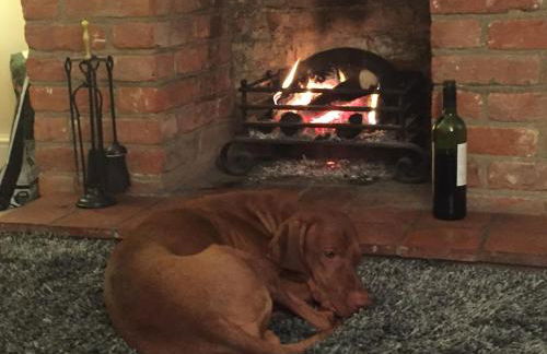 Pollywiggle Cottage, Dog Friendly cottage in Heacham - Foto 3