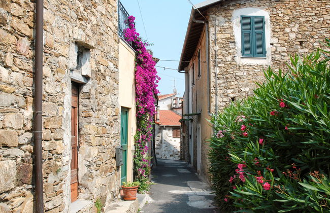 Elisa (DOL127) - Foto 15