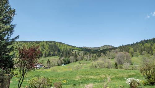 Aufblühen in Menzenschwand - Foto 4