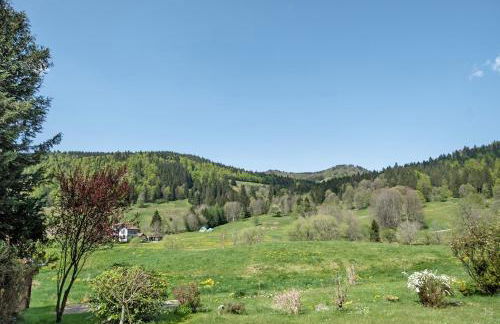 Aufblühen in Menzenschwand - Foto 4