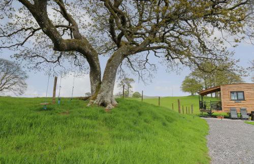 Wild Acre - Photo 20