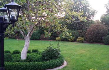 Ferienwohnung Schlingshöhe - Oberwohnung mit separater Terrasse - Foto 16