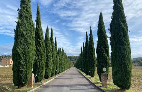 La Locanda dei Golosi - Foto 43