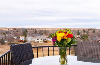 2B2B pet-friendly with views near dog park - Foto 3