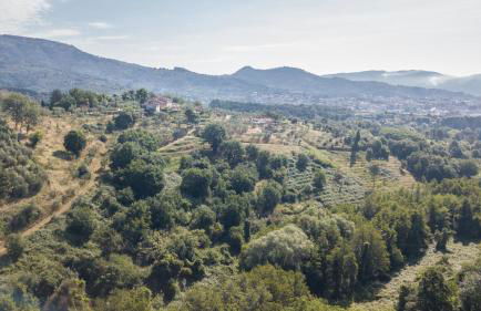 Terre di Cocomo - Foto 24