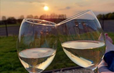 Pension am Reethaus - Foto 44