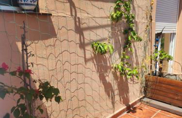 Los Girasoles - Foto 21