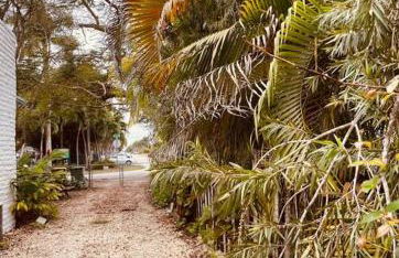 Bienvenidos a la Pequeña Selva de Legnalife - Foto 34