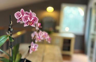 Costa Brava quiet Villa with private pool and jacuzzi - Foto 24