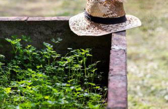 Boutique Wine Resort - Villa Dianella - Foto 50