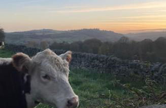 Rosemary cottage -Your Cozy Countryside Escape, Matlock - Foto 53