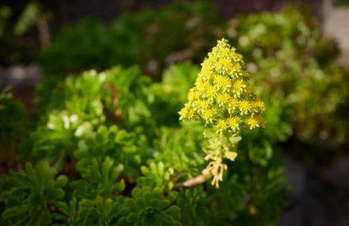 Casas Maravilha by Homie - Photo 66