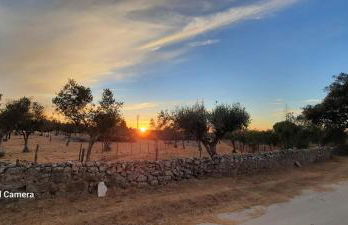 Casa Pitacas - Foto 49