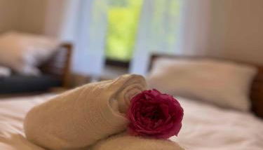 Ferienhaus am blauen Wasser - Photo 5, towels