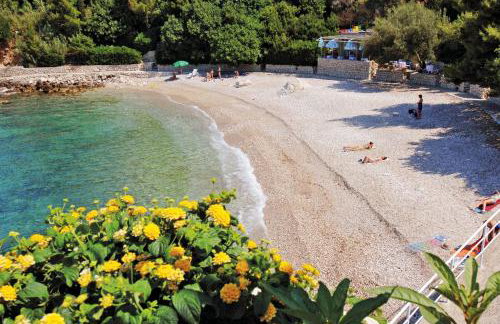 Apartments with parking space Plat, Dubrovnik - 4776 - Foto 18