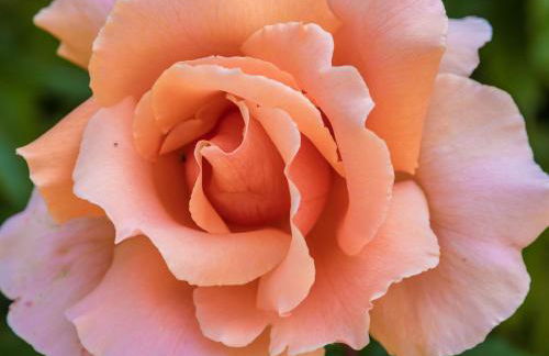 Holiday Home in Dordogne with Pool - Foto 40