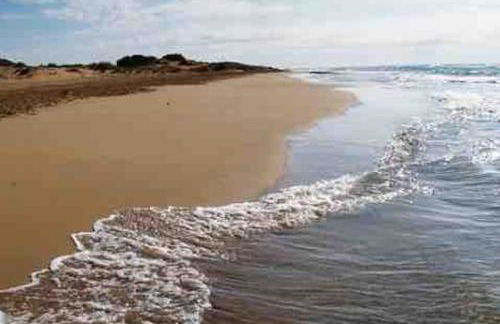 United Golf Resort - Foto 19