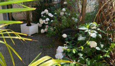 La Dolce Vita à Epernay - Foto 2