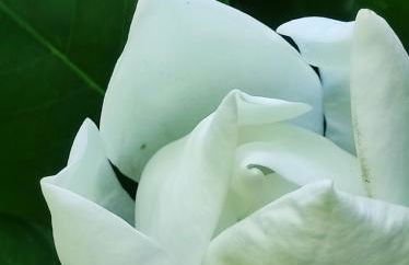 Casa do Alto (top floor apartment) - Foto 60